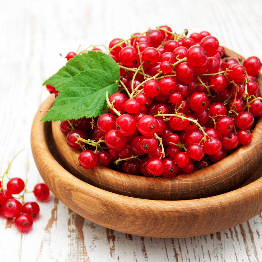 What s The Best Substitute For Cranberries Pesto U0026 Margaritas