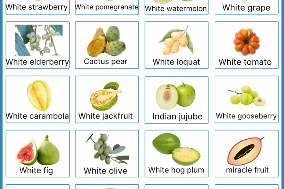 White Fruits Names In English List With Pictures