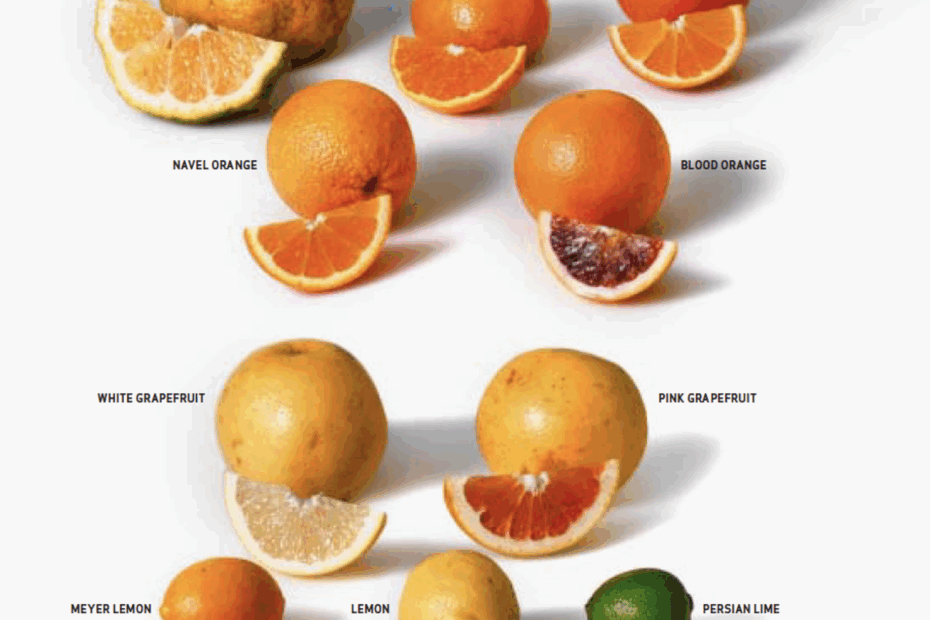 Winter Is Citrus Season CIA Foodies