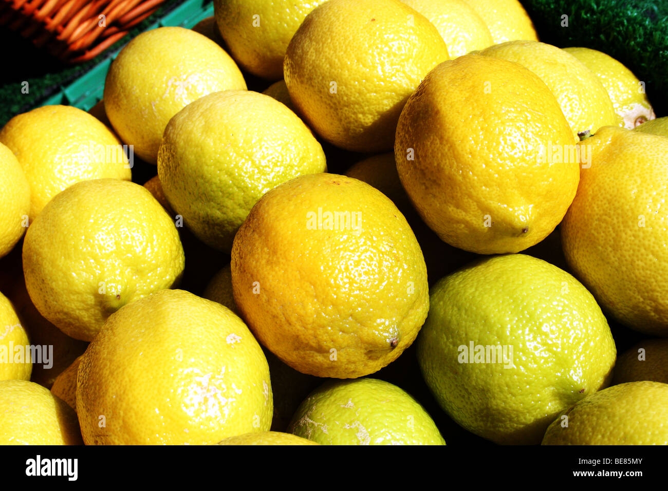 Yellow Lemons Citrus Limon Family Rutaceae A Bitter Citrus Fruit Stock Photo Alamy
