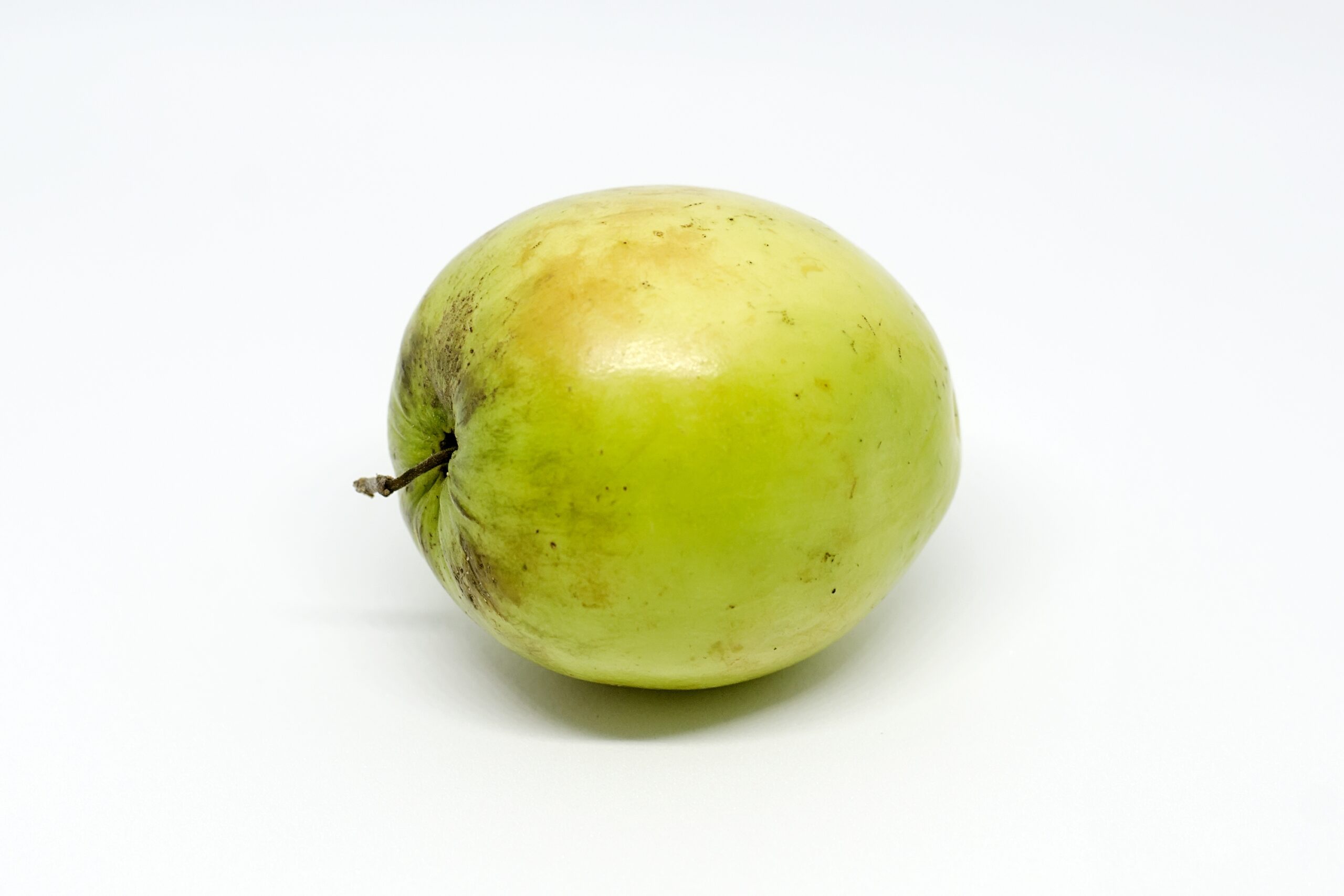 Ziziphus Mauritiana Wikipedia