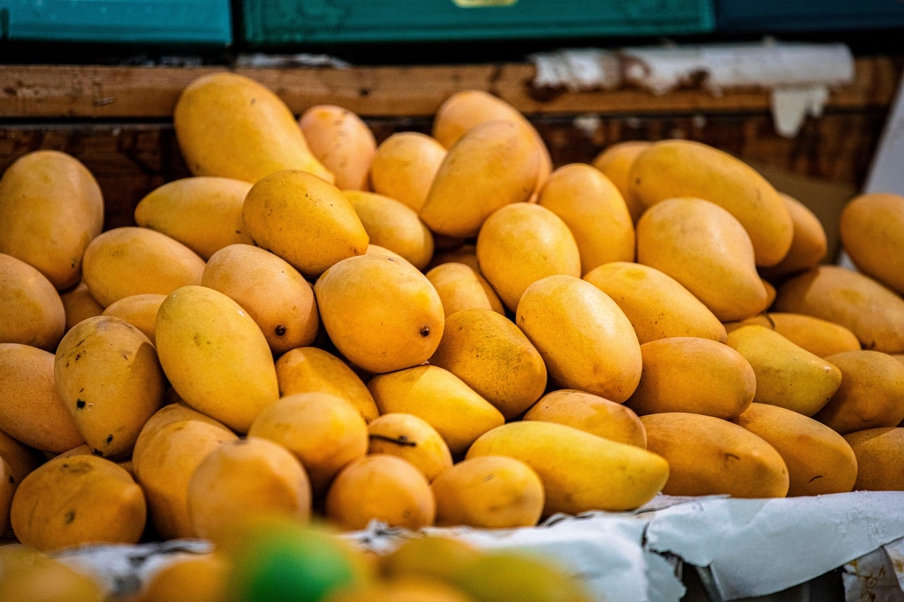 picture of ripe mango fruit