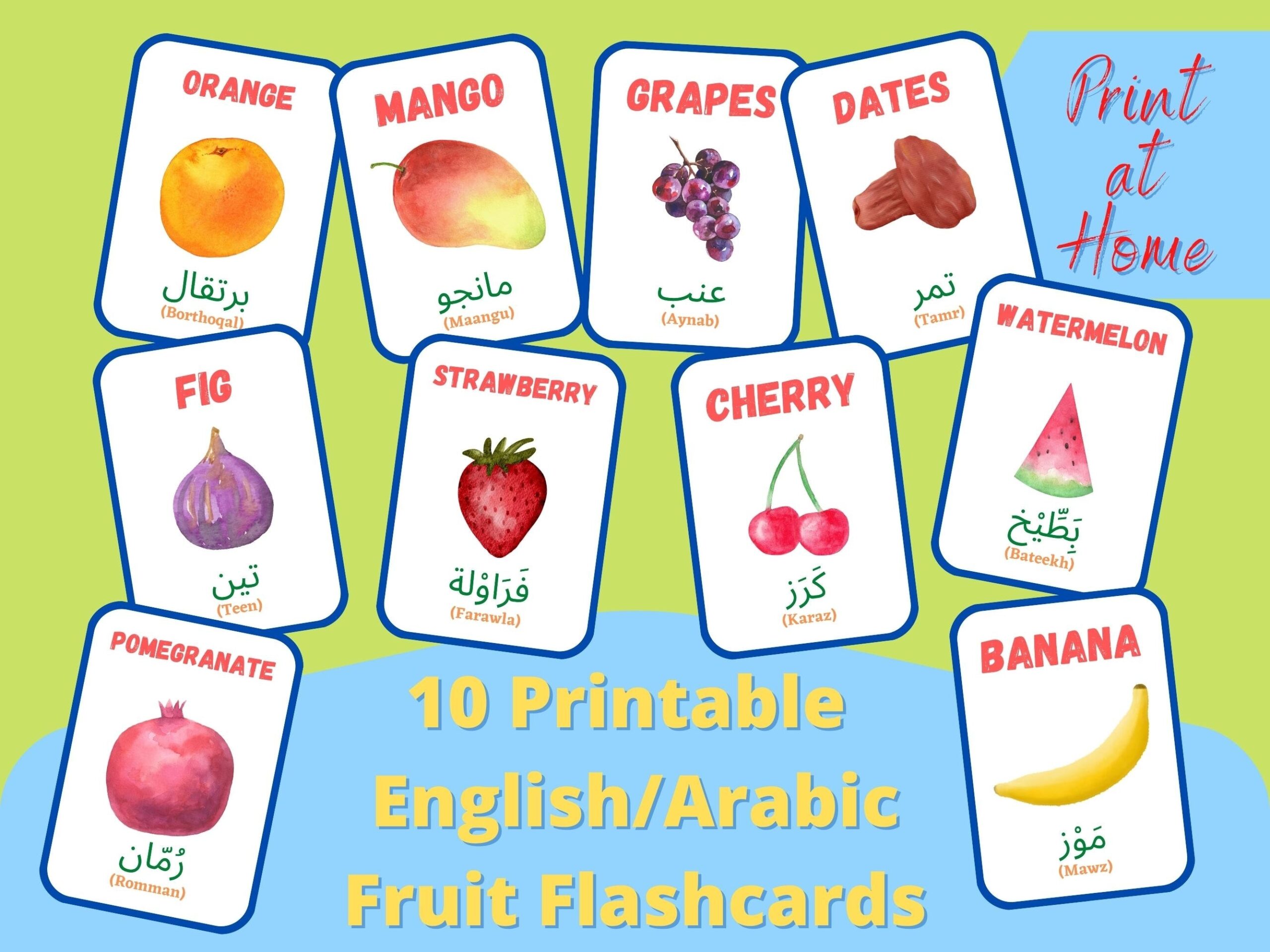 10 English Arabic Fruit Printable Flashcards Etsy