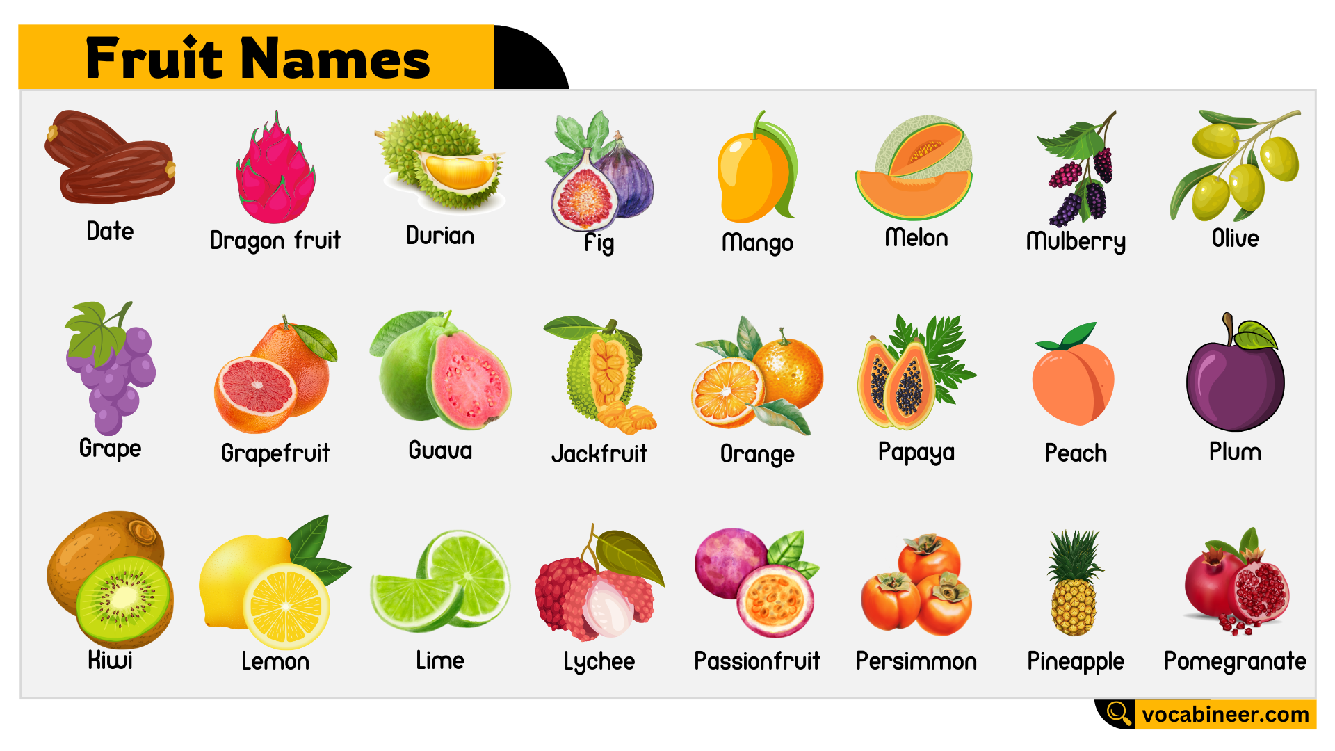 100 Fruits Names In English And Their Pictures