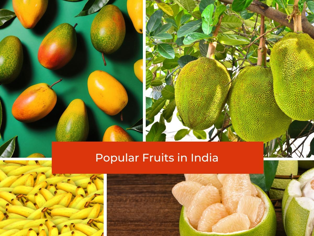 15 Indian Fruits You Need To Try Out Chef s Pencil