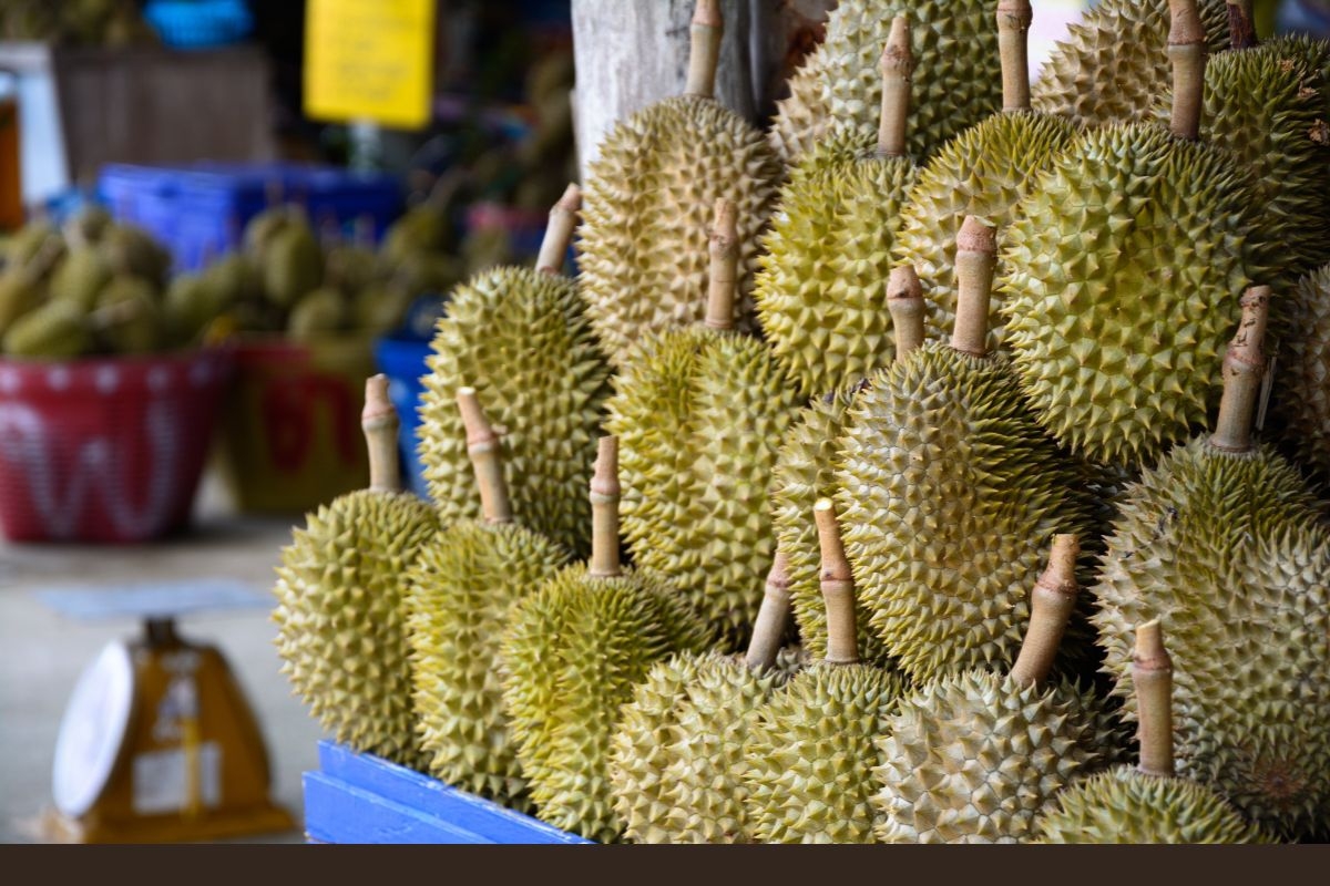 malaysian fruits name and picture