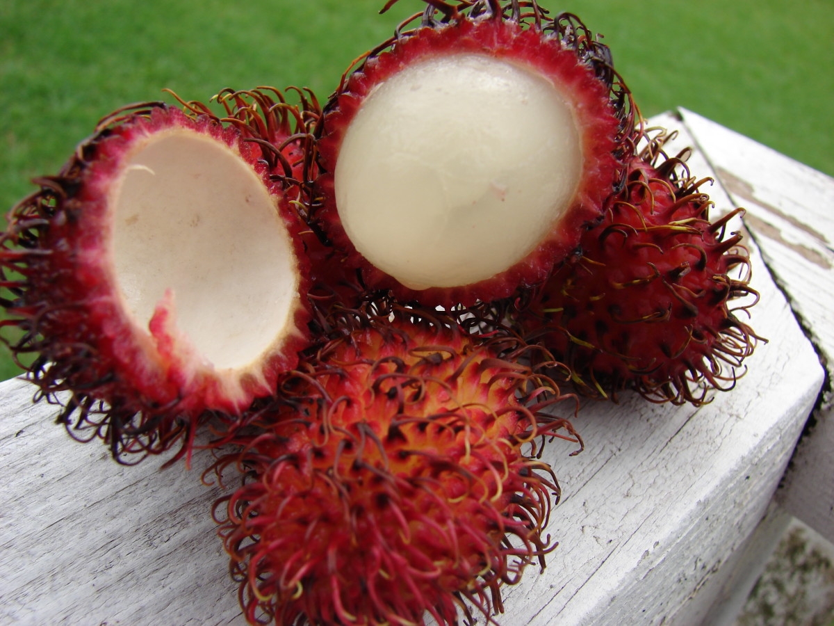 16 Popular Tropical Fruits Of Malaysia Delishably
