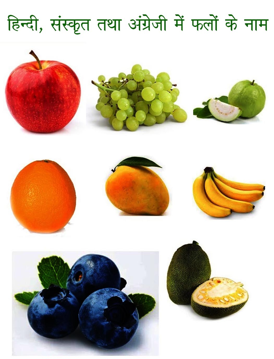 fruits name in sanskrit with pictures
