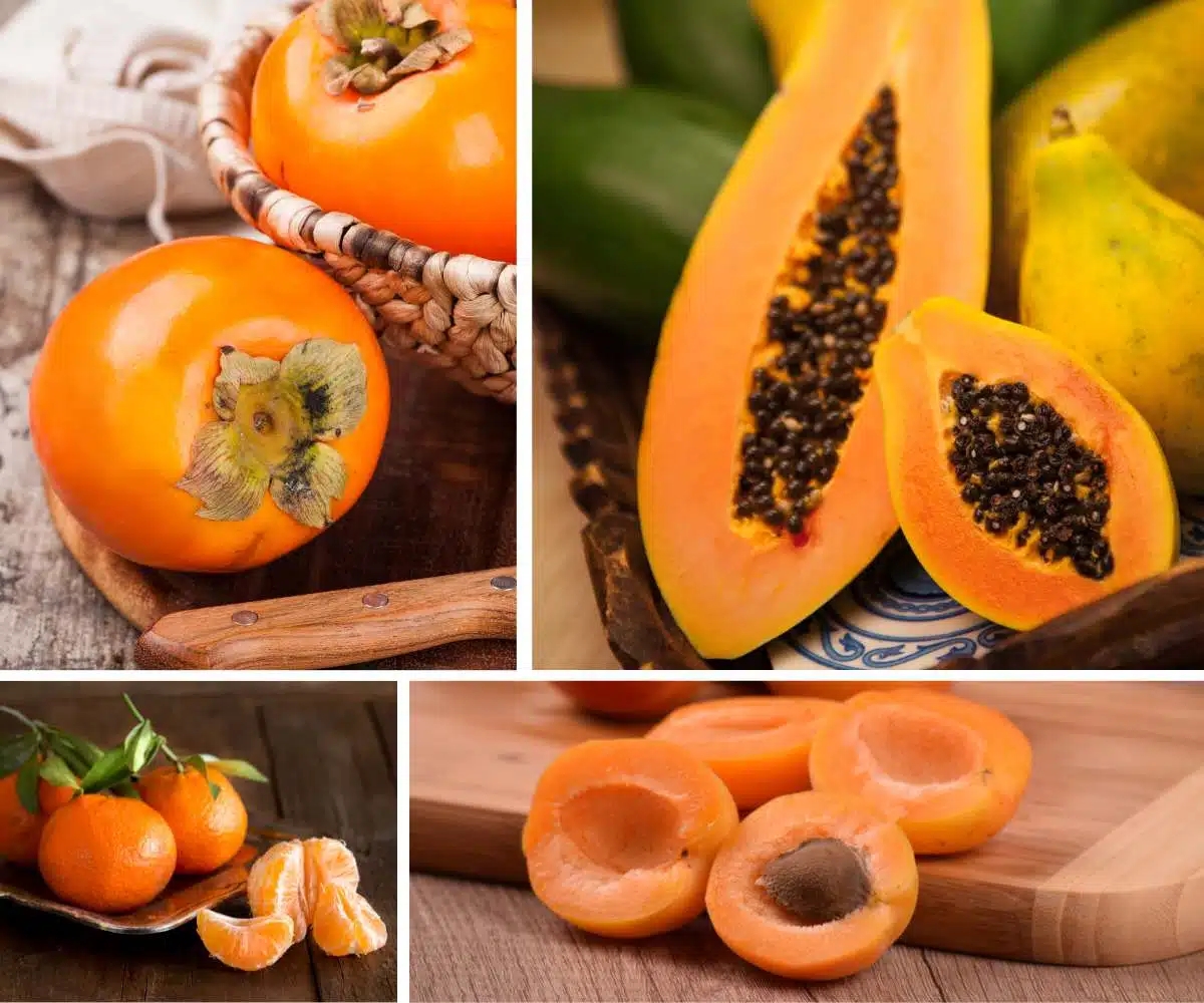orange fruit names and pictures