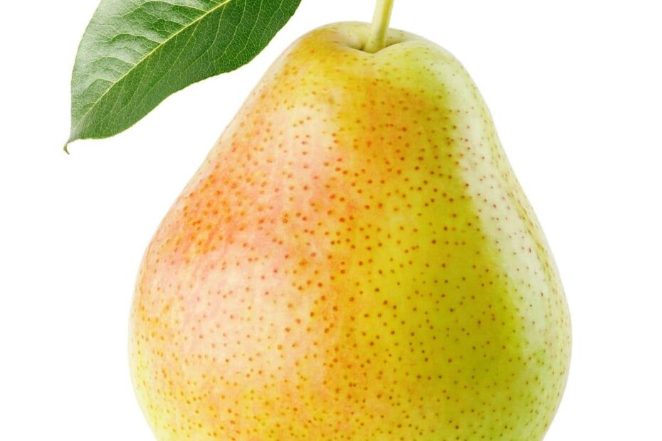 29 Types Of Pears From A To Z With Photos Live Eat Learn