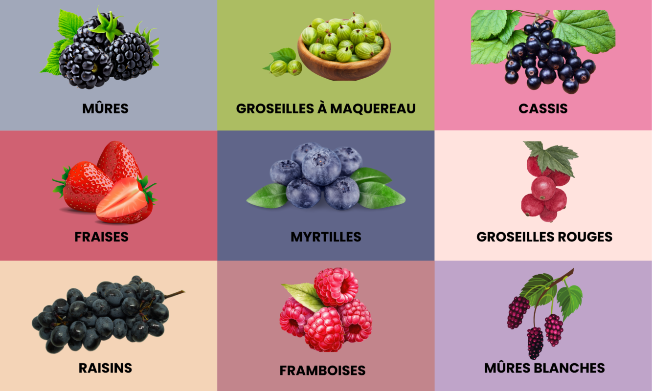 30 Delicious Fruits In French Learn Essential Vocabulary