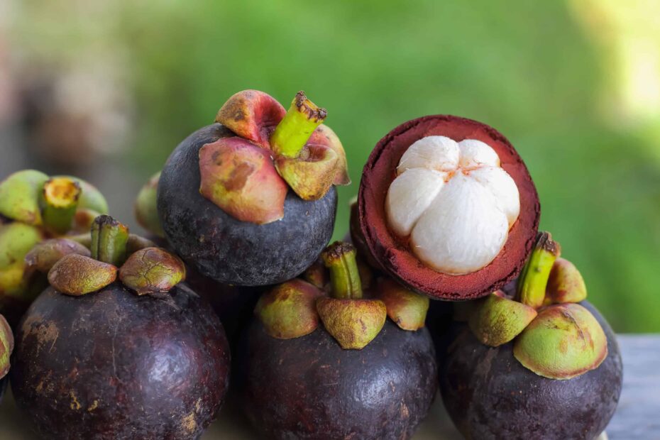 31 Exotic Malaysian Fruit You May Not Know When In Season