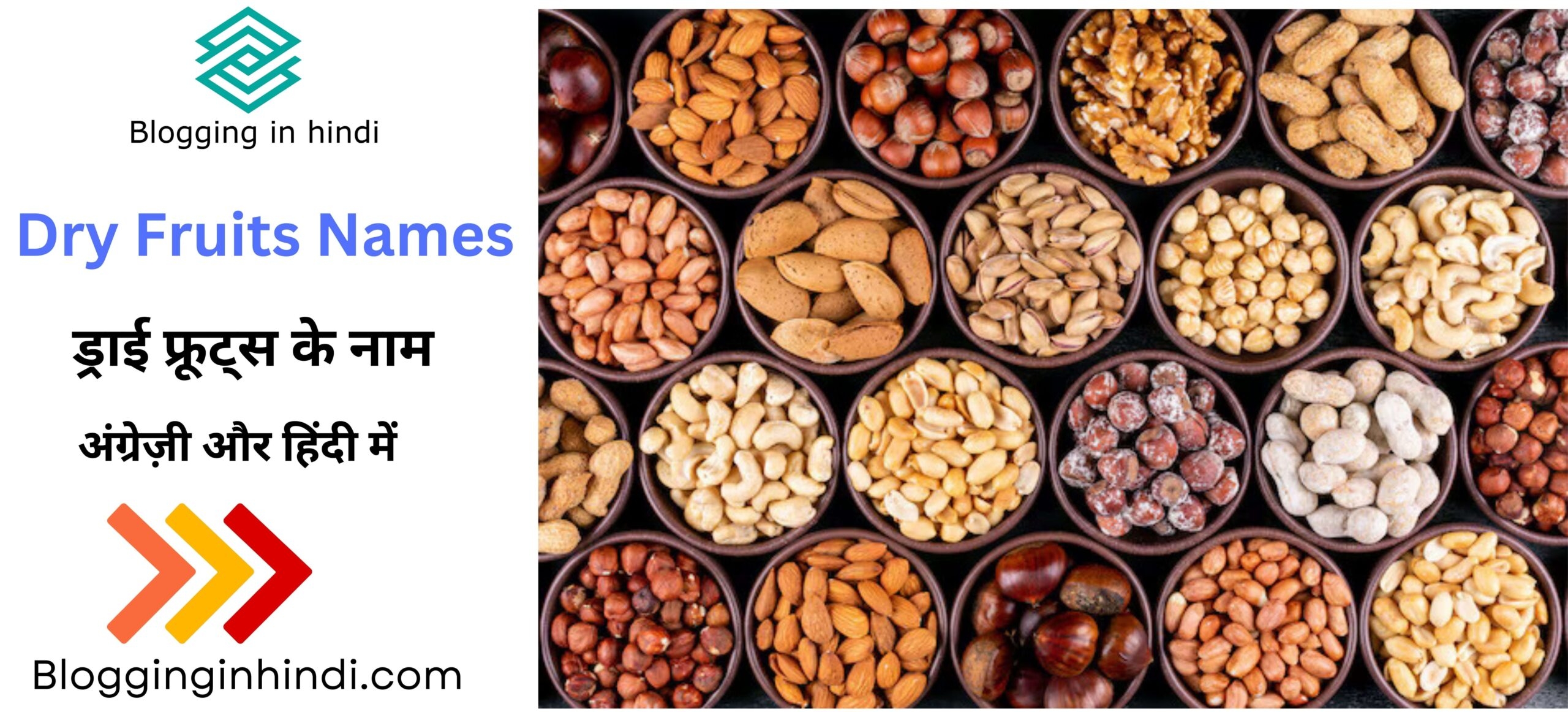 50 Common Dry Fruits Names In English And Hindi