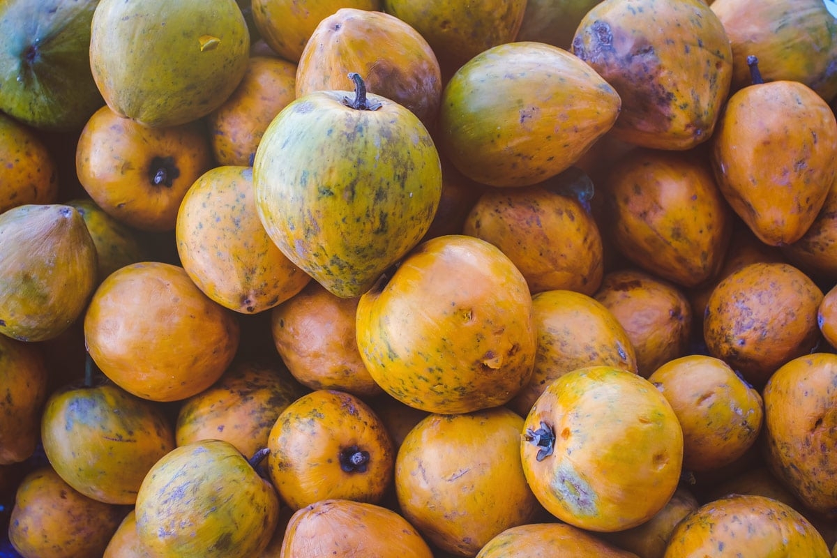 8 Amazing Lucuma Fruit Powder Benefits U0026 Uses Ascension Kitchen