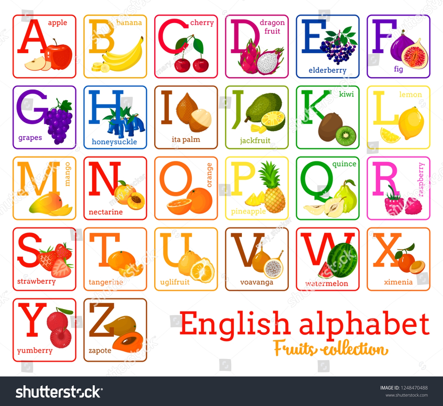 fruits a to z with pictures