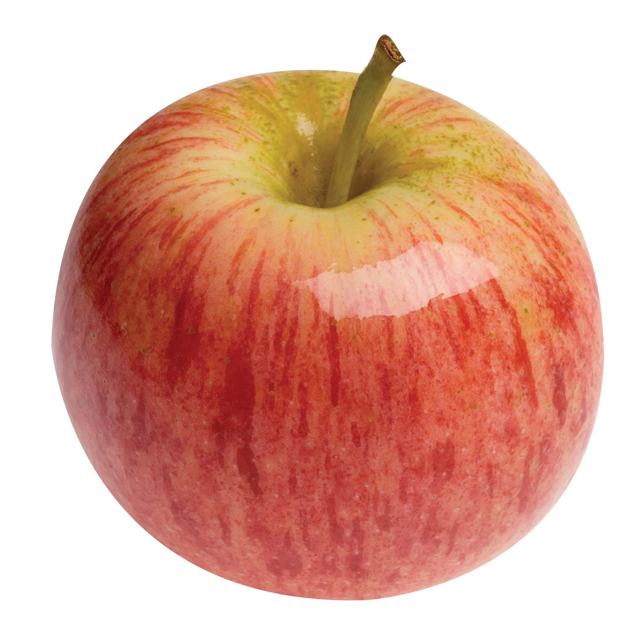 Amazon Gala Apples Fresh Produce Fruit 3 LB Bag Grocery 