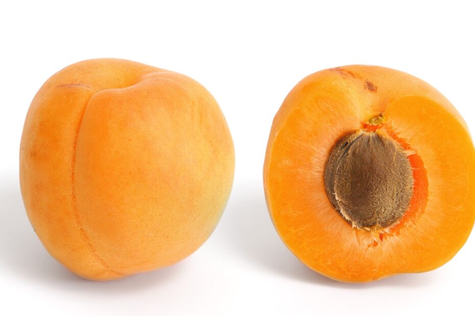 Apricot Wikipedia