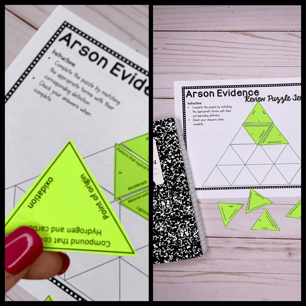 crime scene to court room review puzzle template