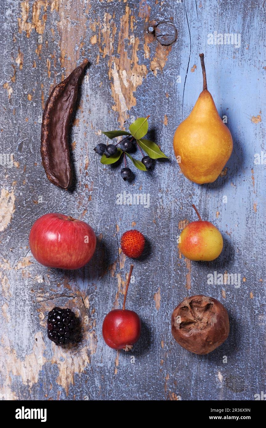 Assorted Old Fruits seen From Above Stock Photo Alamy
