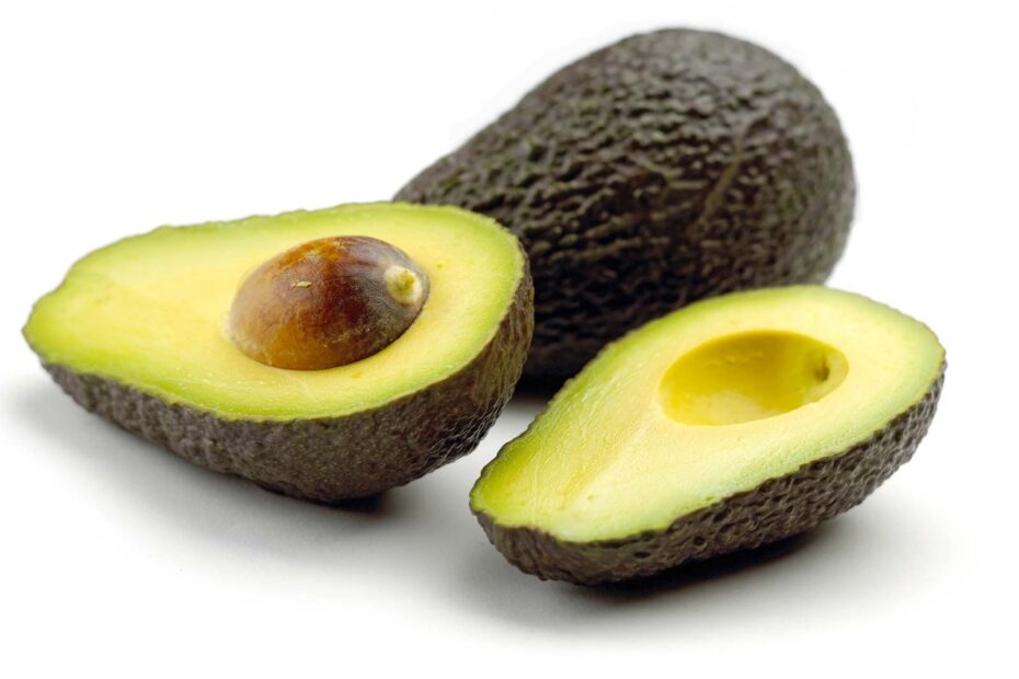 Avocado Description Types History Uses U0026 Facts Britannica