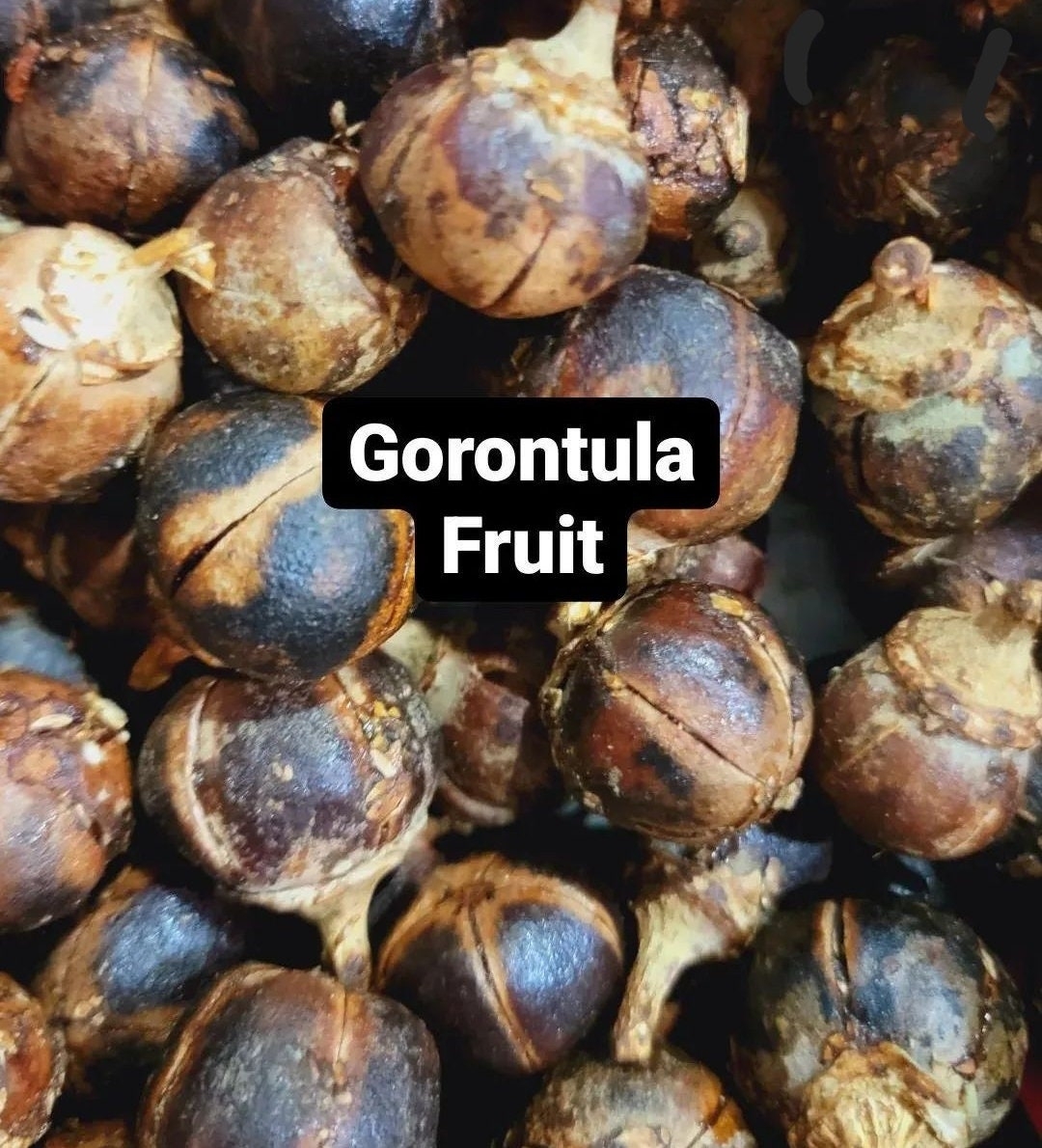 Buy Gorontula Dried Fruit Online In India Etsy