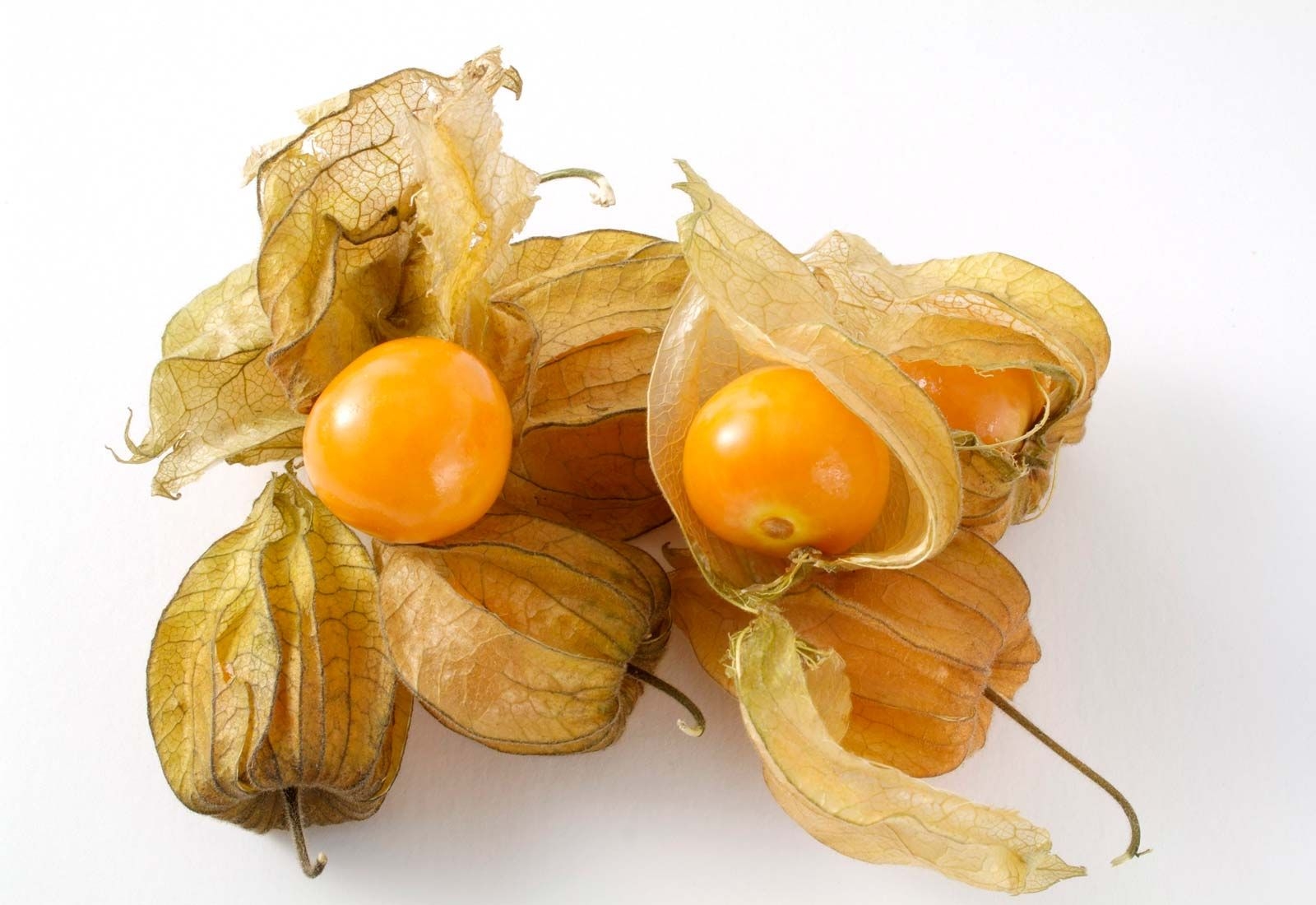 Cape Gooseberry Description Benefits Fruit Uses U0026 Flavor Britannica
