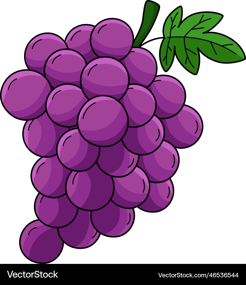 Cartoon Grapes Fruit Clip Art Royalty Free Vector Image