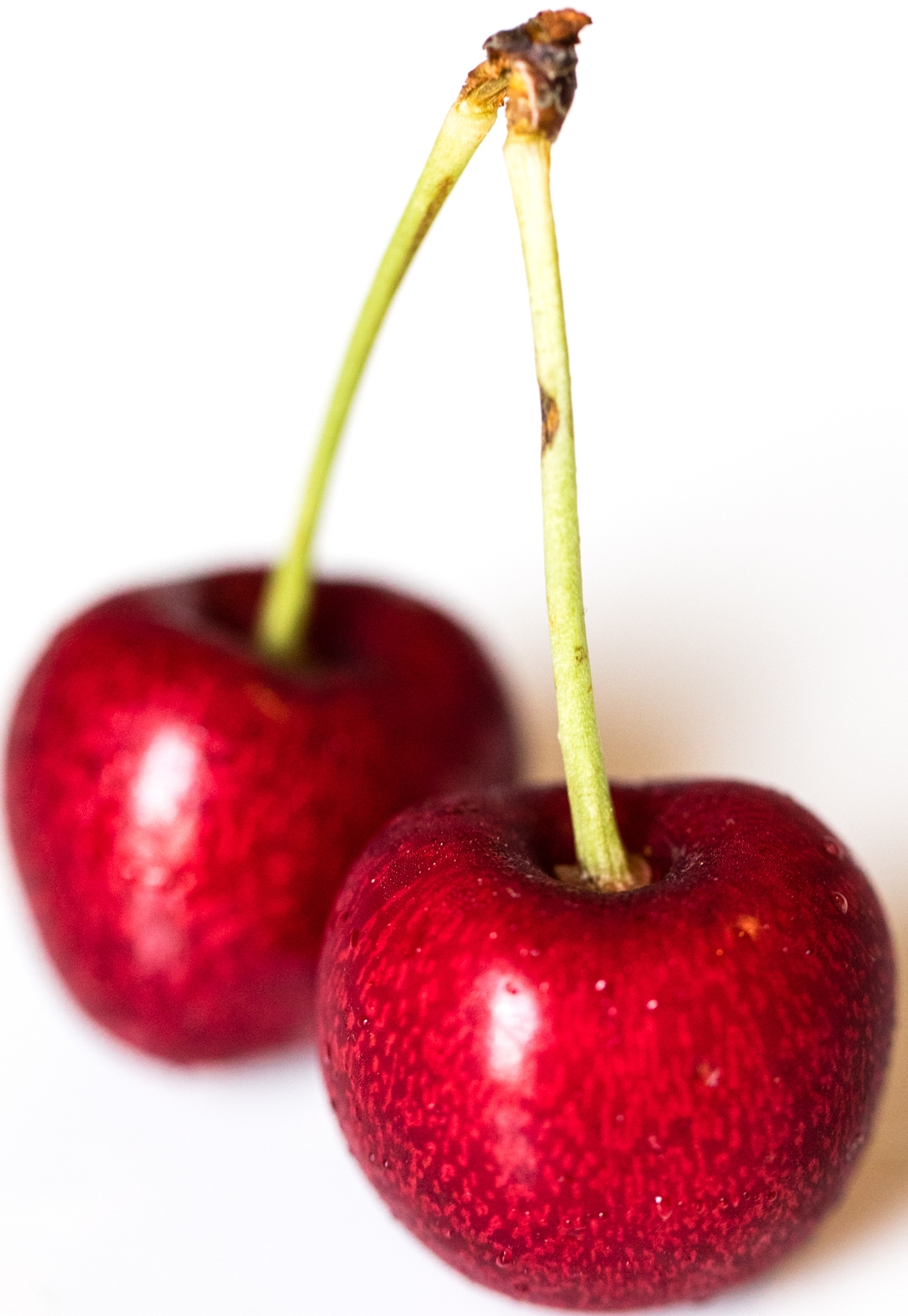 Cherry Wikipedia