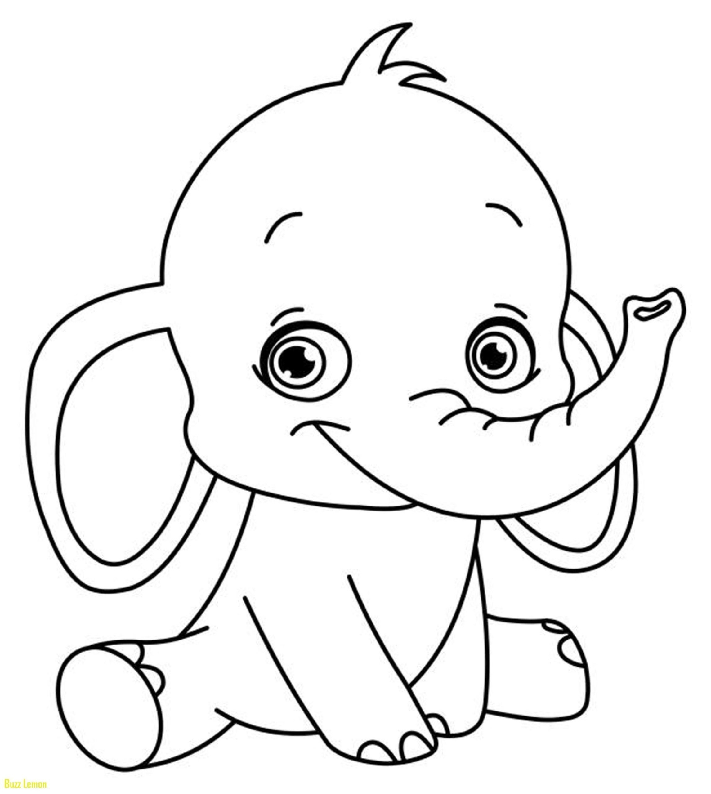fruits pictures for drawing pdf