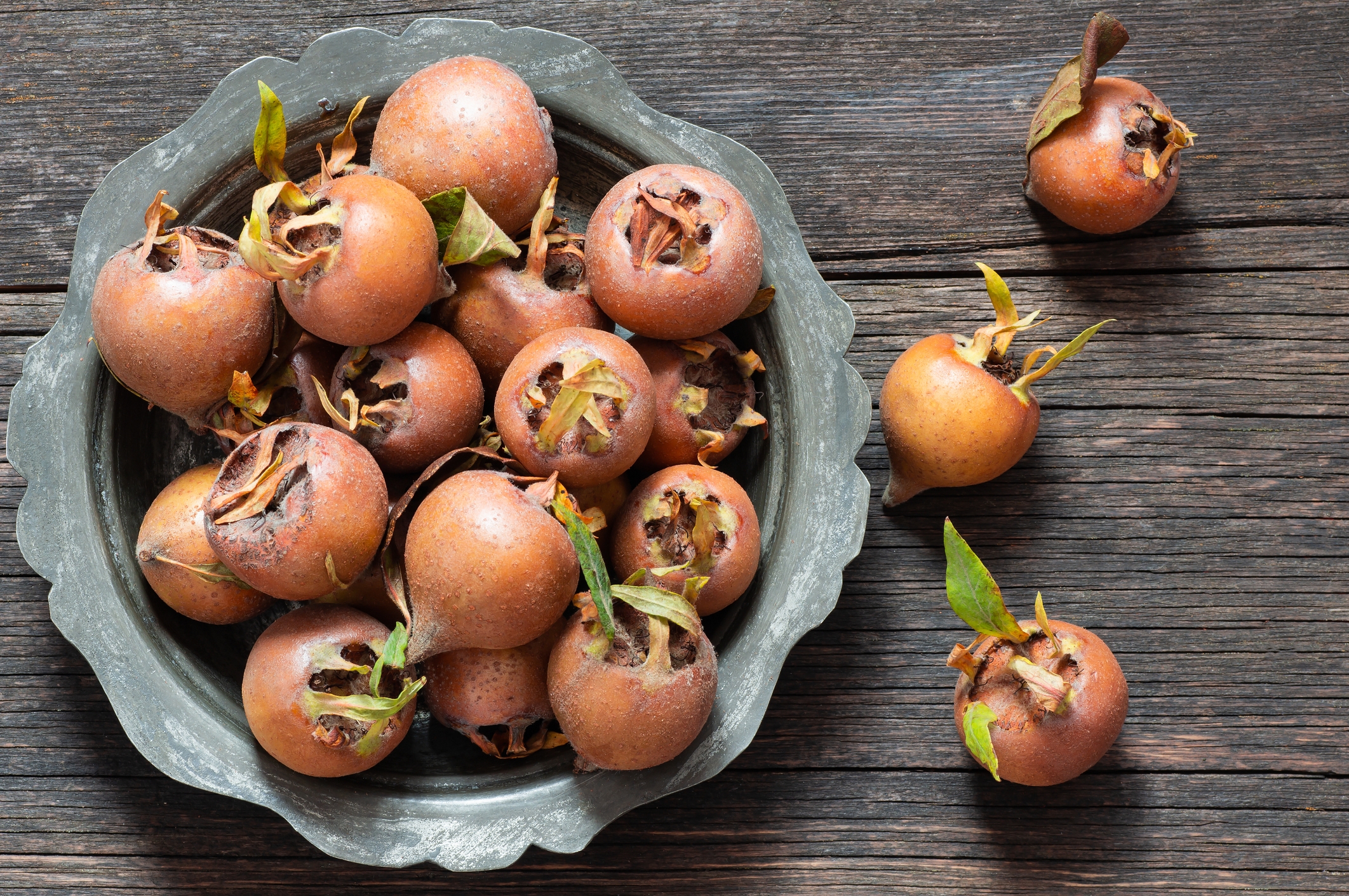 Curious Questions The Mystery Of The Medlar The British Fruit 