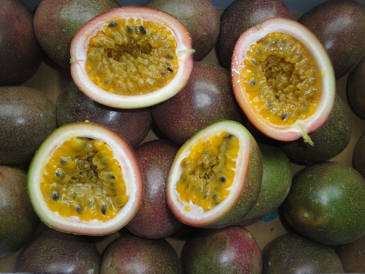 Download Free Photo Of Tropical passion Fruit fruit free Pictures Free Photos From Needpix