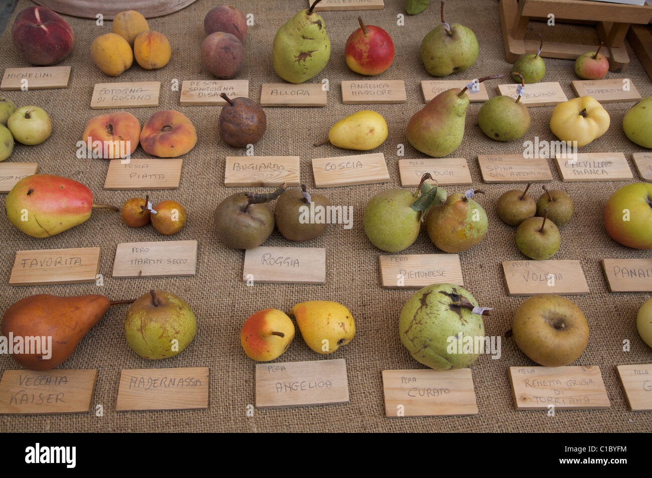 Exibithion Of Old Fruits Guastalla Emilia Romagna Italy Europe Stock Photo Alamy