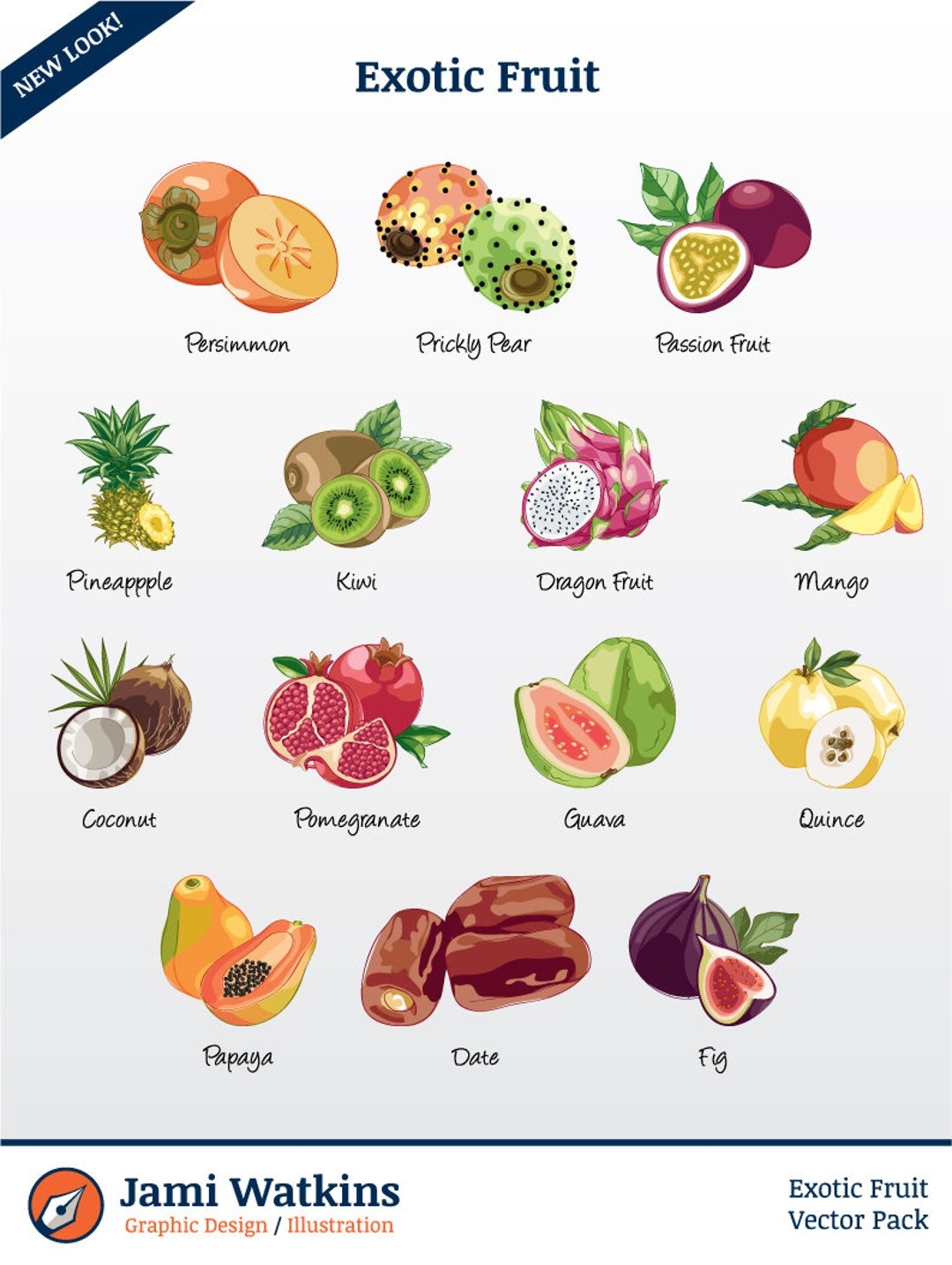 Exotic Fruit Vector Illustration Pack set Of 14 Clip Art files PNG EPS PDF Etsy
