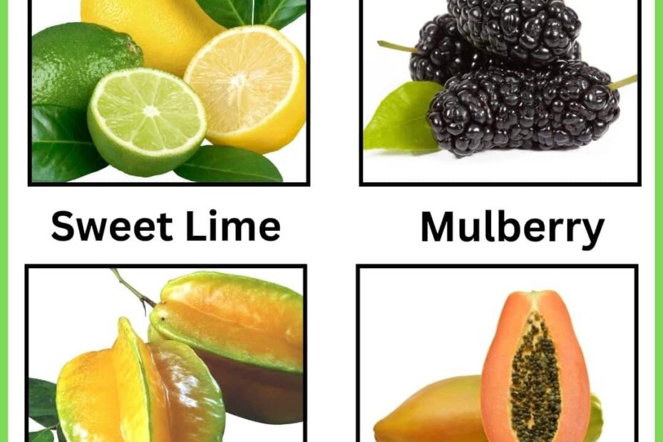 Explore Popular 40 Fruits Name And Why You Should Eat Them