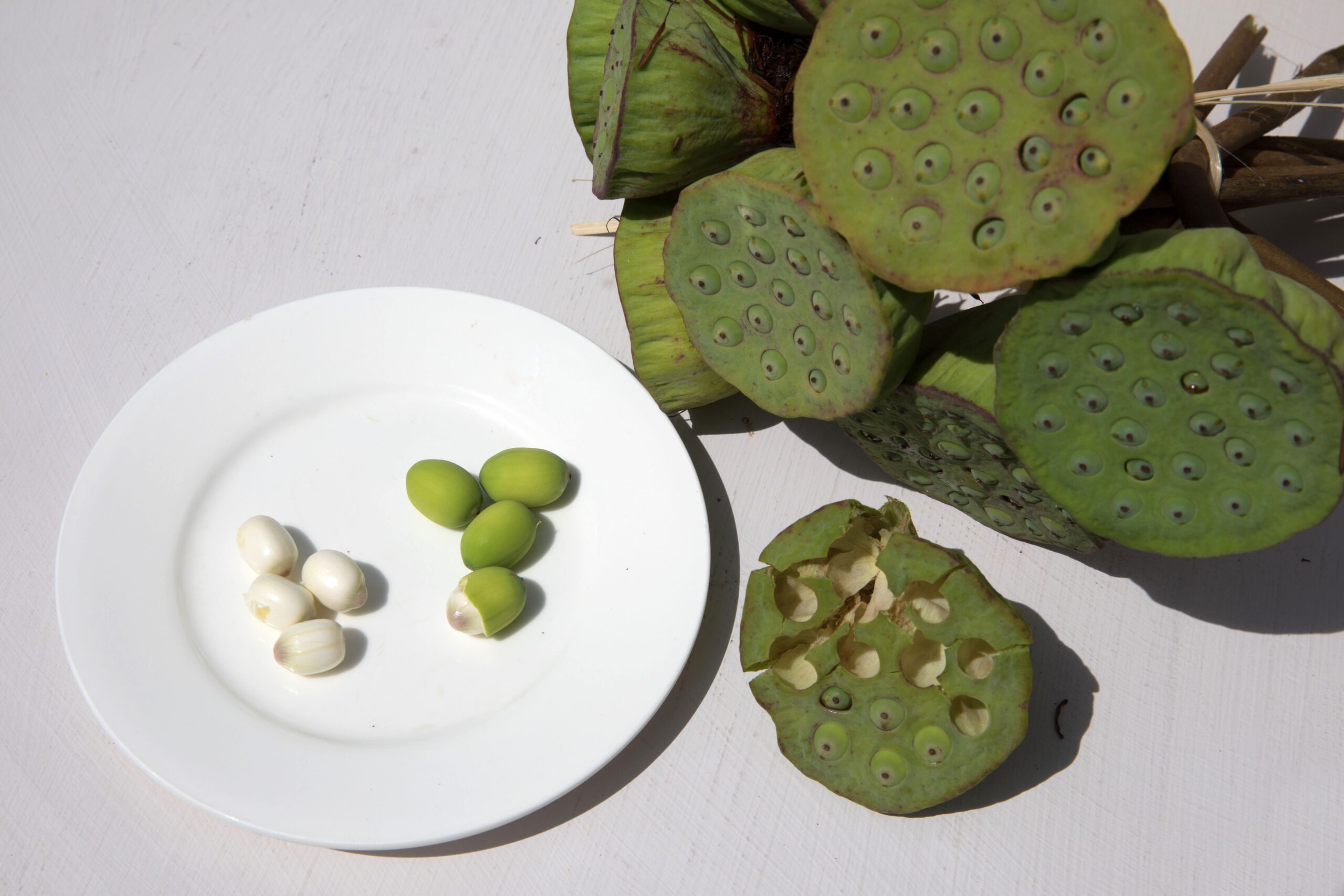 lotus fruit picture