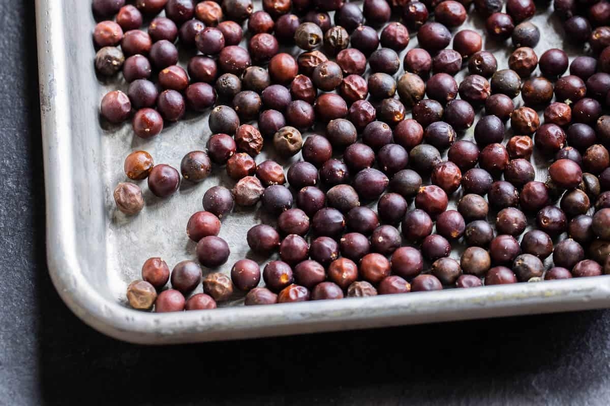 hackberry tree fruit pictures