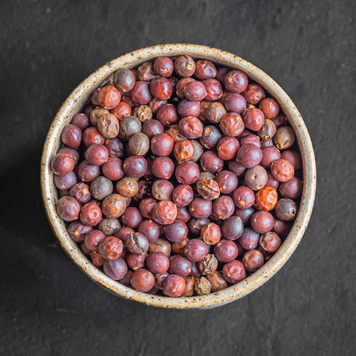 Foraging And Cooking With Hackberries Celtis Occidentalis 