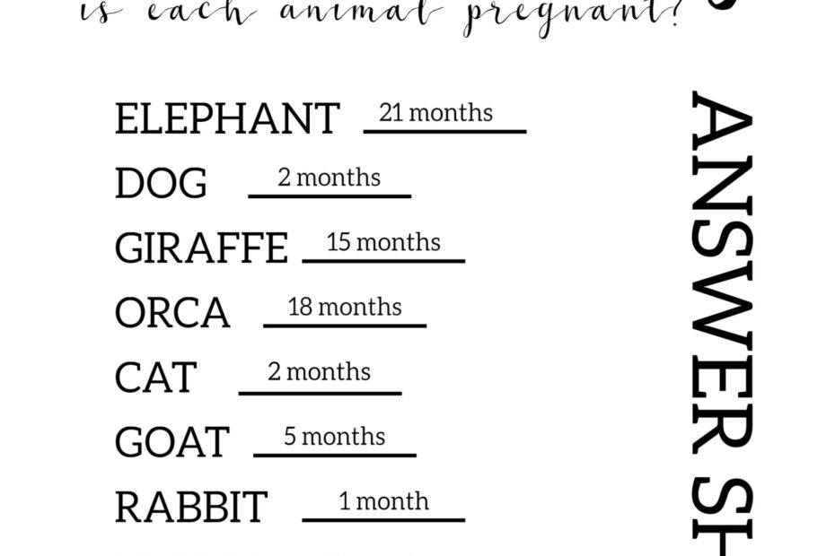 Free Baby Shower Games Printable Animal Pregnancies Paper