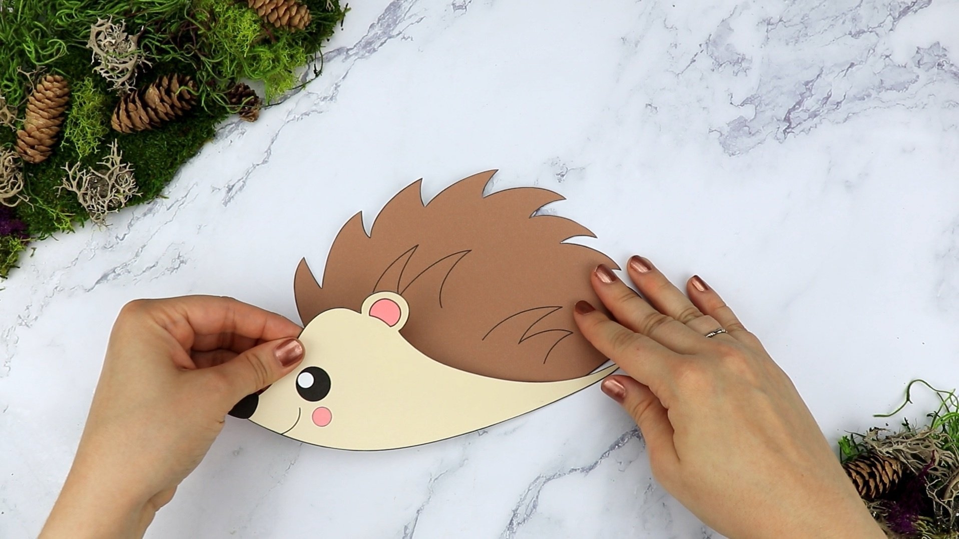 printable hedgehog craft template
