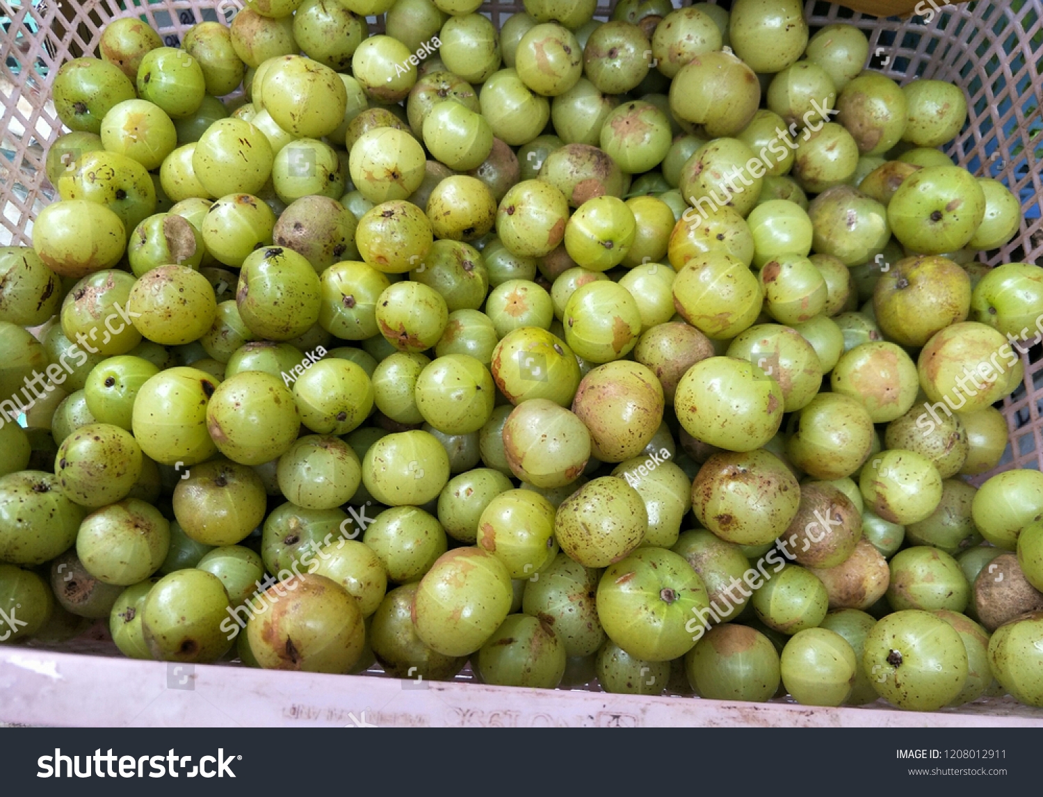 Fresh Healthy Fruits Name Indian Gooseberry Stock Photo 1208012911 