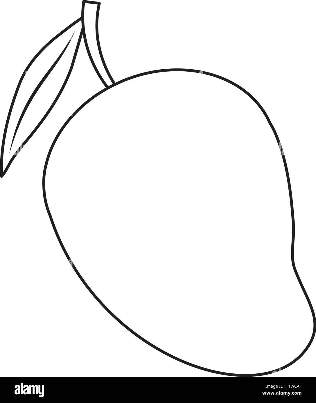 Fresh Mango Fruit Healthy Vector Illustration Design Stock Vector 