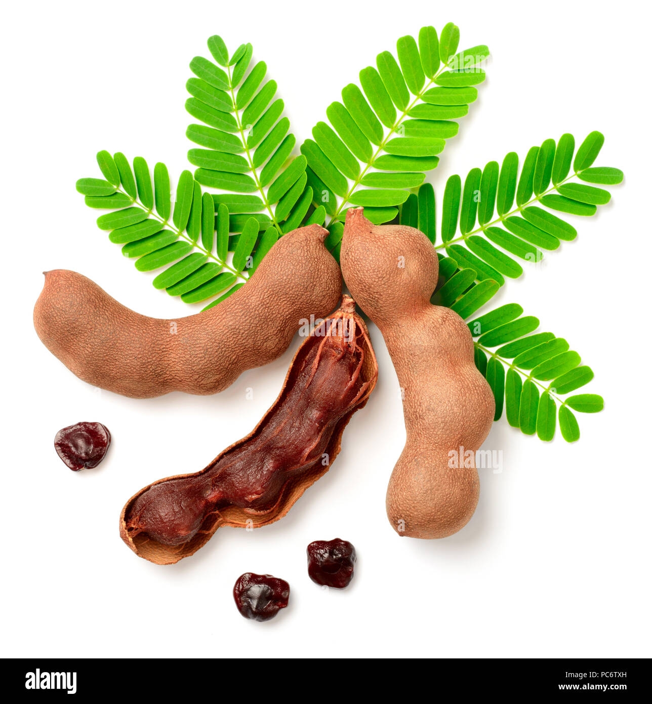 picture of tamarind fruit