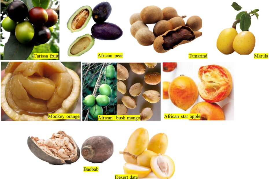 Frontiers Classification Of African Native Plant Foods Based On