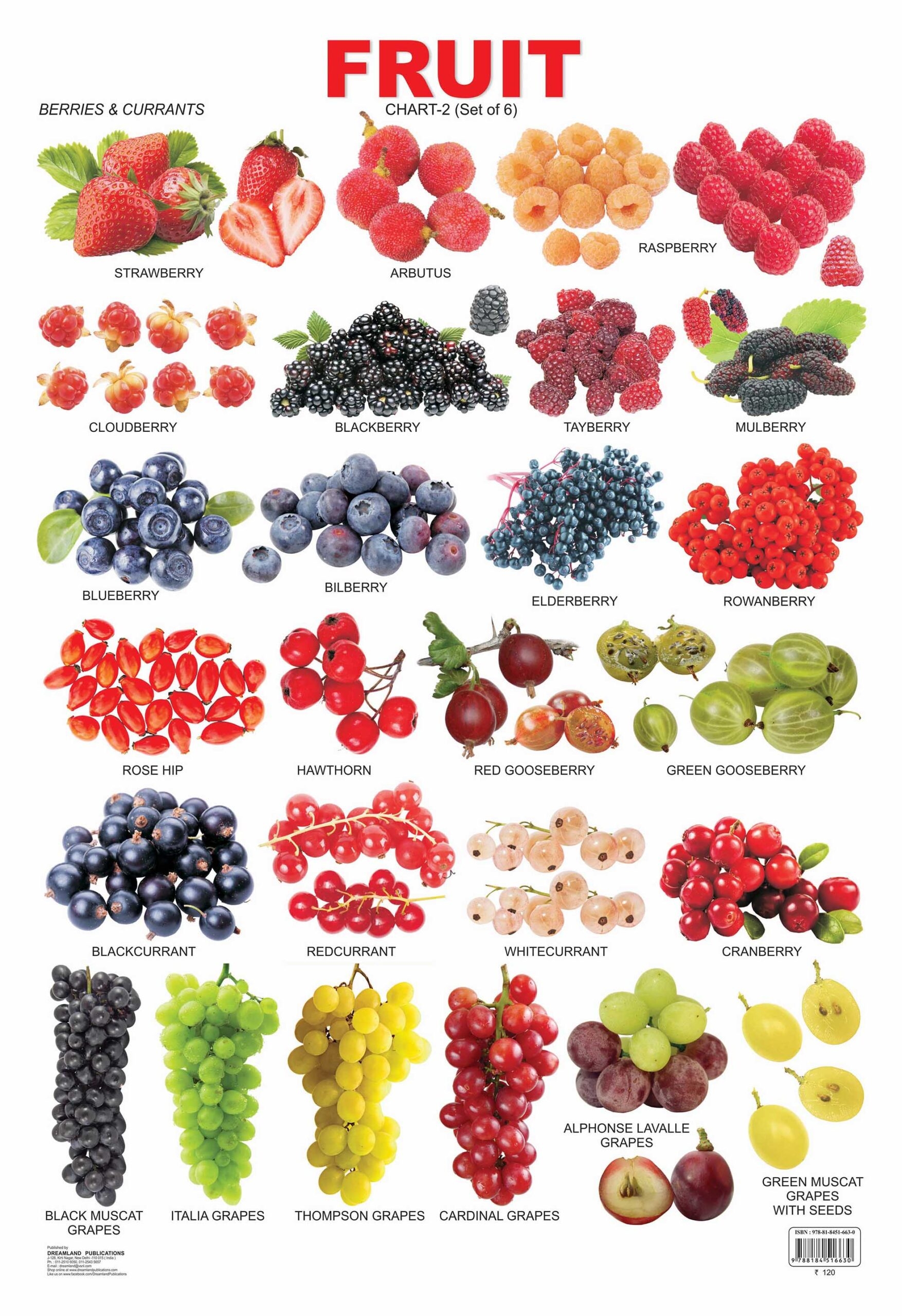 list of all fruits with pictures