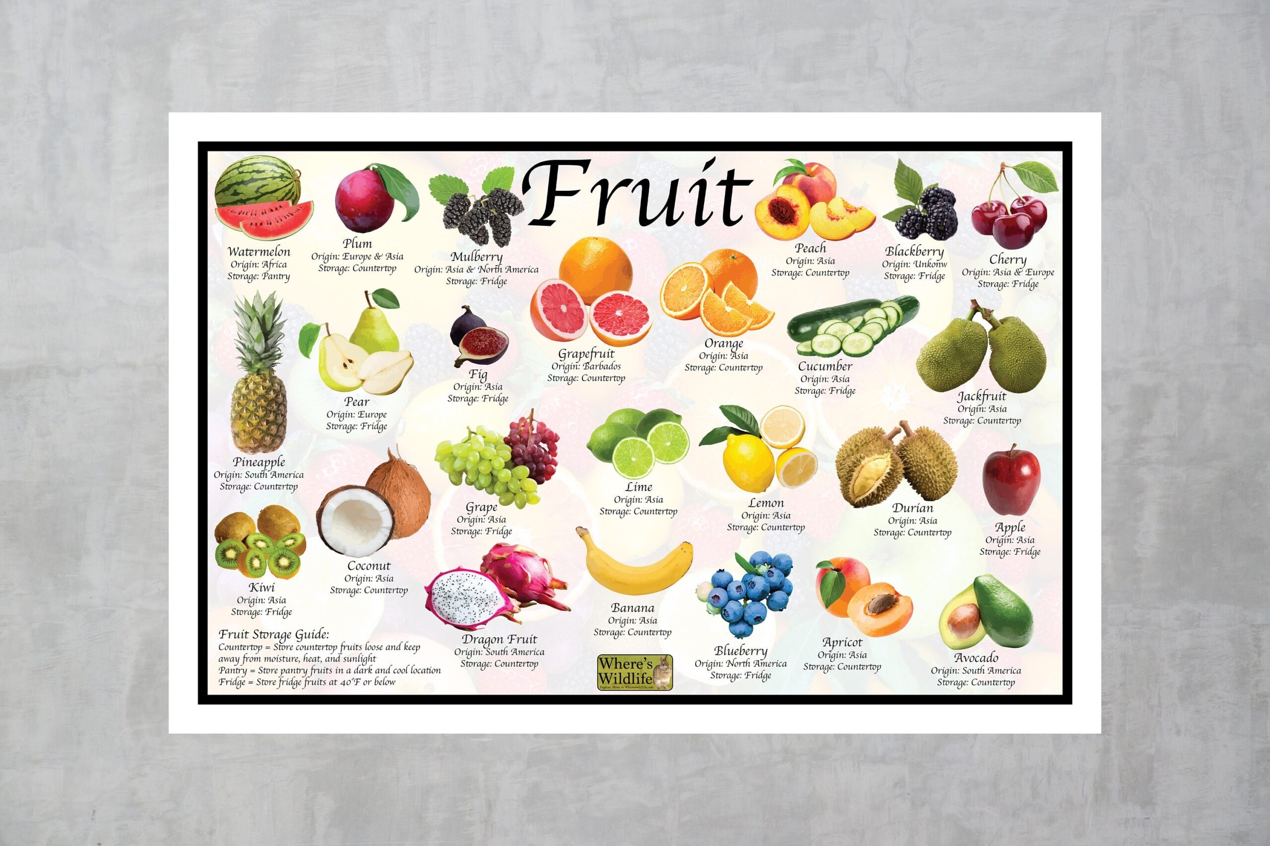 fruits pictures chart
