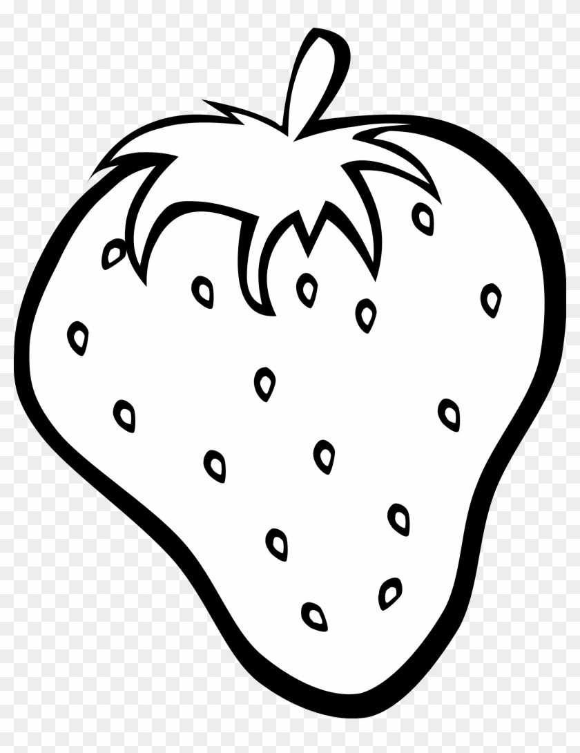 fruits pictures drawing