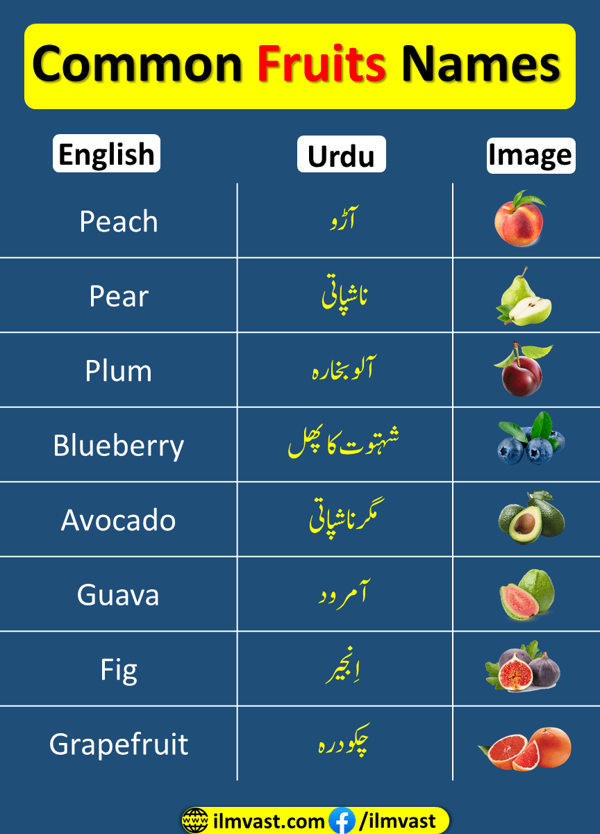 Fruit Names Vocabulary In English And Urdu With Pictures 
