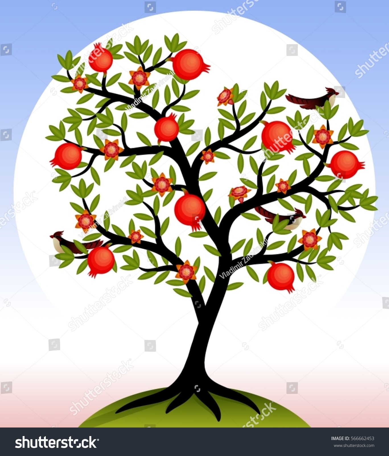 Fruit Tree Pomegranate Tree Fruits Flowers Stock Vector Royalty 