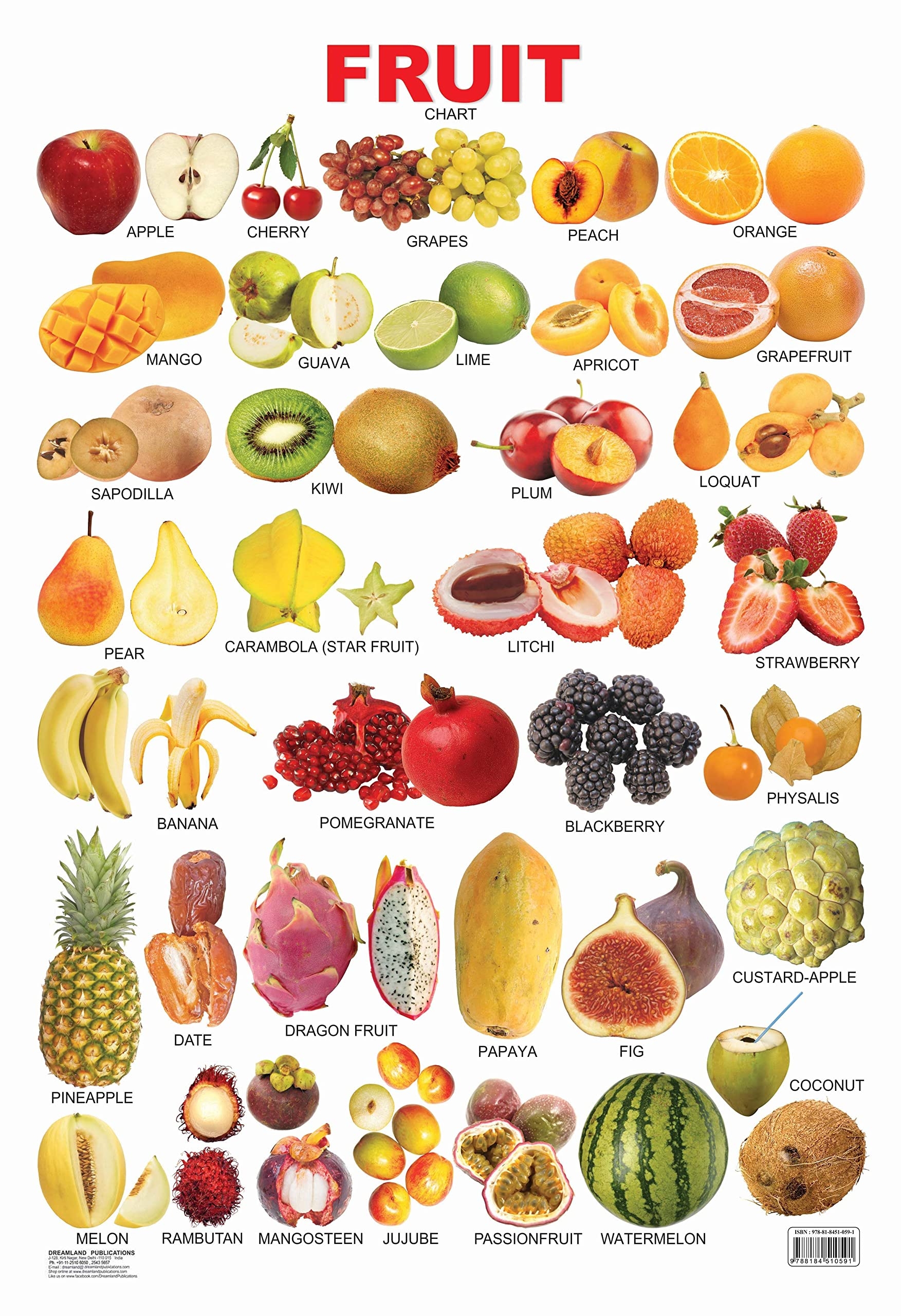 Fruits All In One Educational Wall Chart For Kids Both Side Hard Laminated Size 48 X 73 Cm Dreamland Publications Amazon in Books