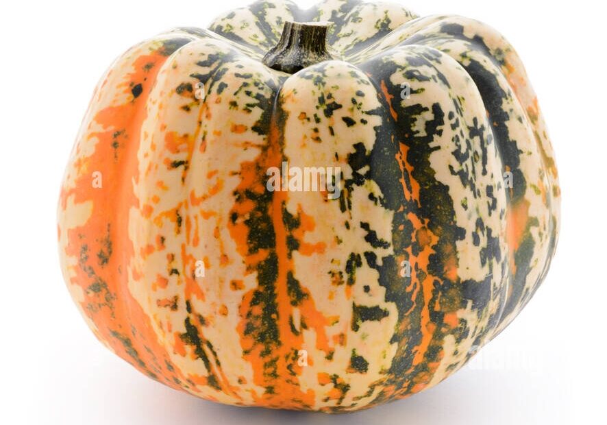 Fruits And Vegetables Single Decorative Pumpkin Isolated On